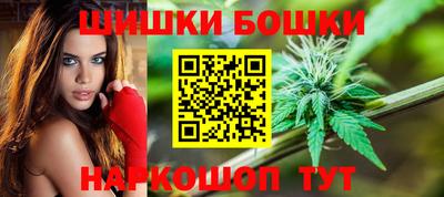 прущие грибы Пенза