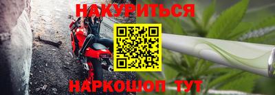 прущие грибы Пенза