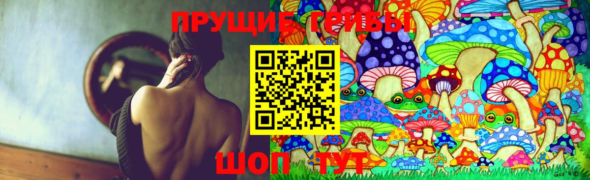 Сосновый Бор  Галлюциногенные грибы Psilocybine cubensis  Вход с VPN 