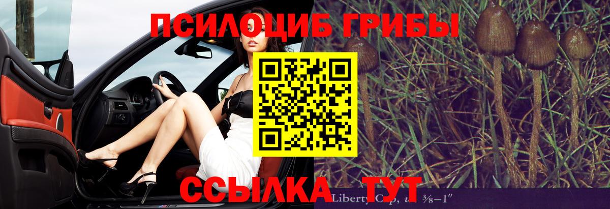 Псилоцибиновые грибы Psilocybine cubensis Сосновый Бор